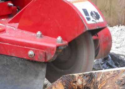 Tree and Stump Removal, Beckenham, 4