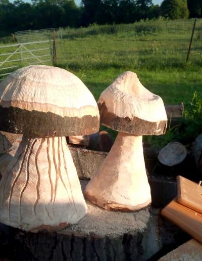 Chainsaw-carved wooden toadstools by Darwin Tree Services