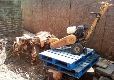 Darwin Tree Services removing a large tree stump in Brixton, South London