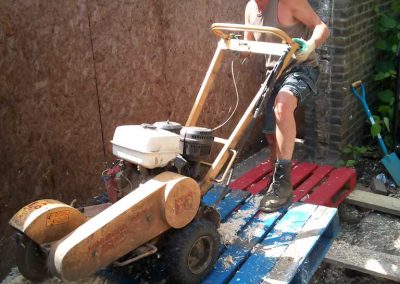Darwin Tree Services removing a large tree stump in Brixton, South London