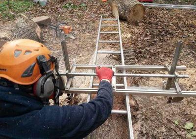 Darwin Tree Services planking an oak tree in Bromley, 2