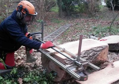 Darwin Tree Services planking an oak tree in Bromley, 4