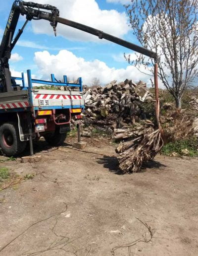 Site Clearance, Biggin Hill, 3