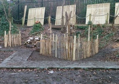 Darwin Tree Services planting trees in a school grounds in Lambeth, south London