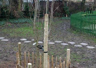 Darwin Tree Services planting trees in a school grounds in Lambeth, south London