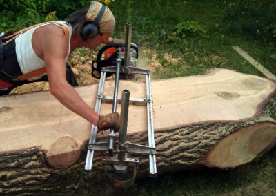 Tree Surgery in Sutton, 4