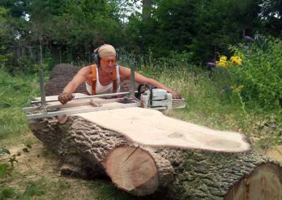 Tree Surgery in Sutton, 6
