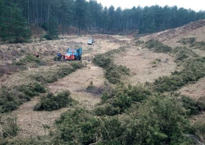 Darwin Tree Services doing forestry work and site clearance in Wareham Forest