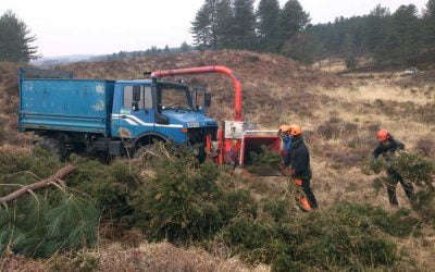 Site Clearance, Wareham Forest