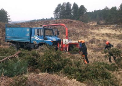 Darwin Tree Services doing forestry work and site clearance in Wareham Forest