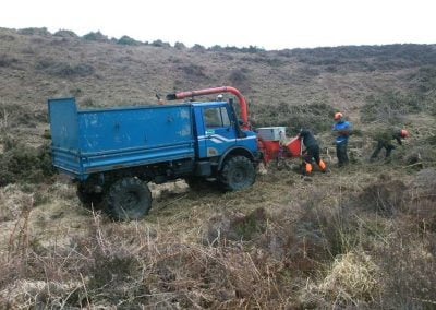 Darwin Tree Services doing forestry work and site clearance in Wareham Forest
